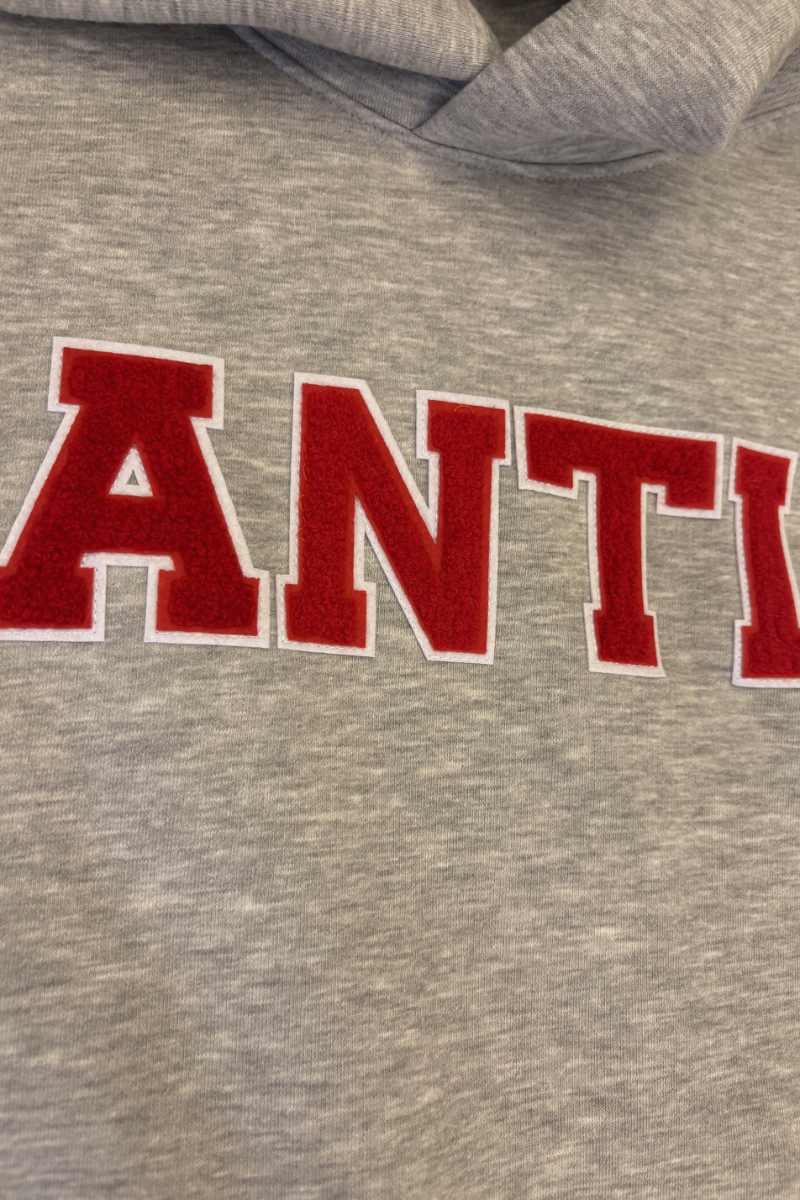 Anti Hoodie von Elternhaus in grau